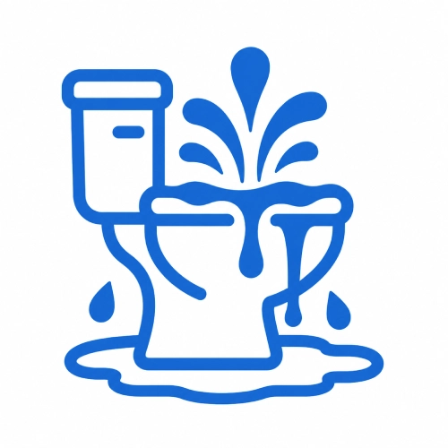 Overflowing Toilet