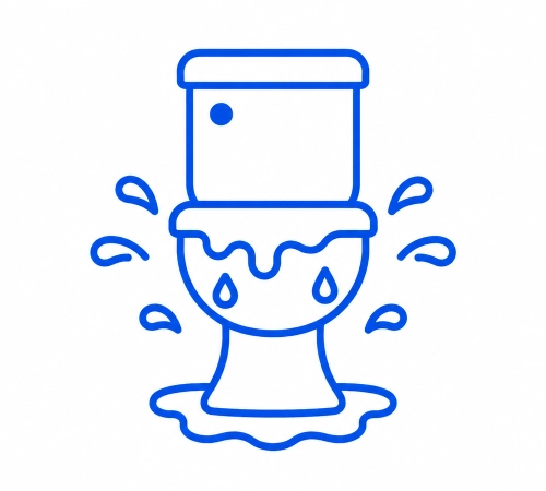 Overflowing Toilets